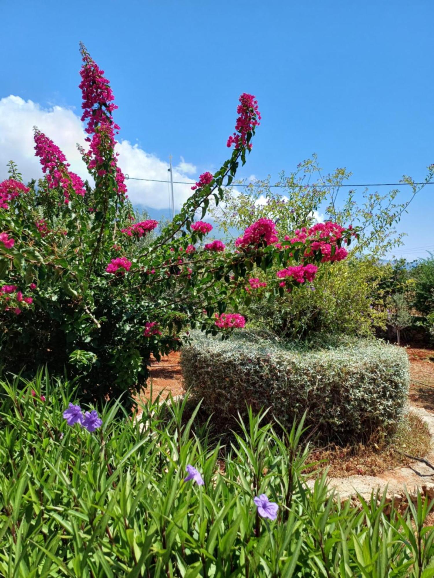 Karavádhos Korallis Villas מראה חיצוני תמונה