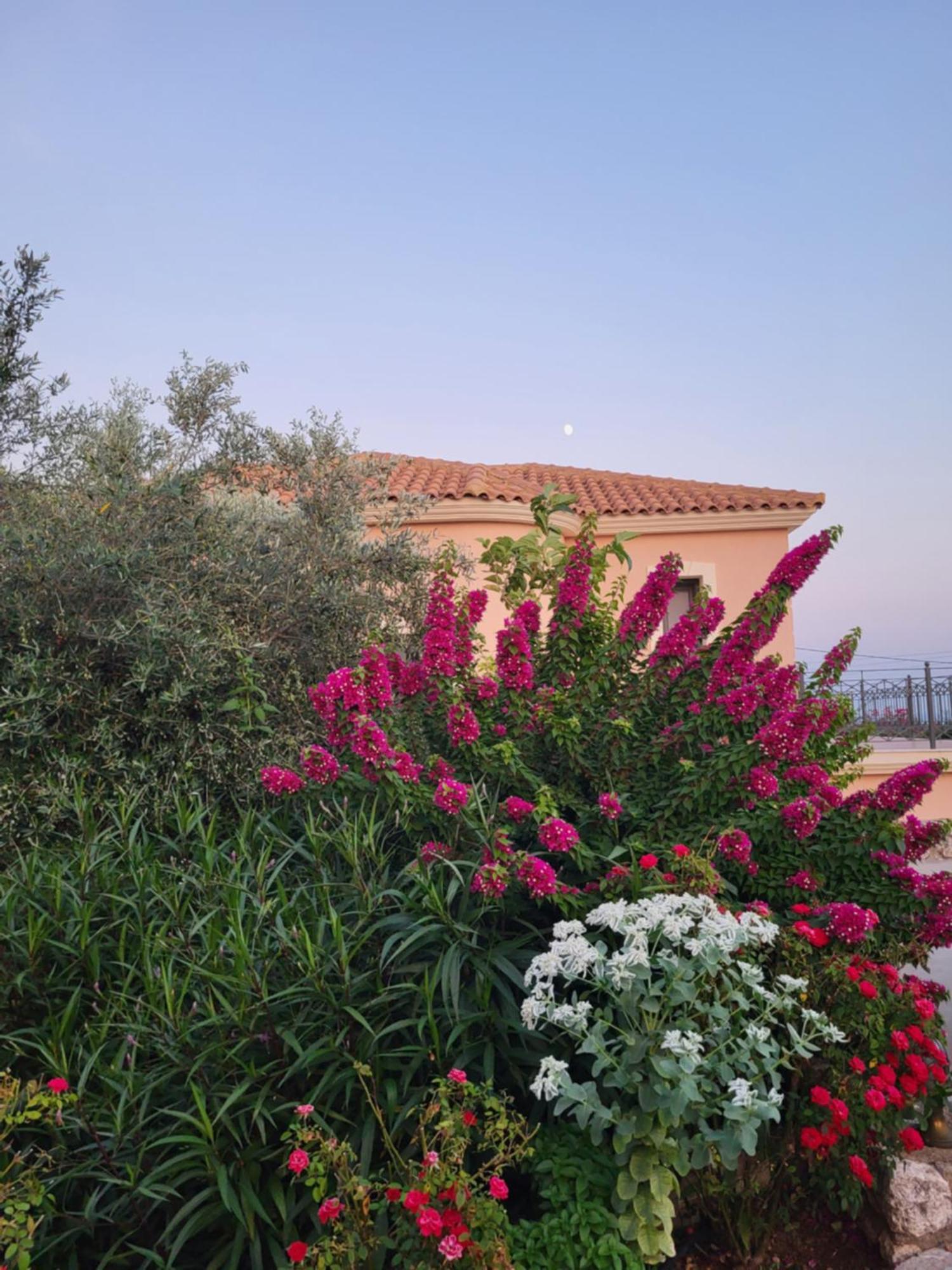 Karavádhos Korallis Villas מראה חיצוני תמונה