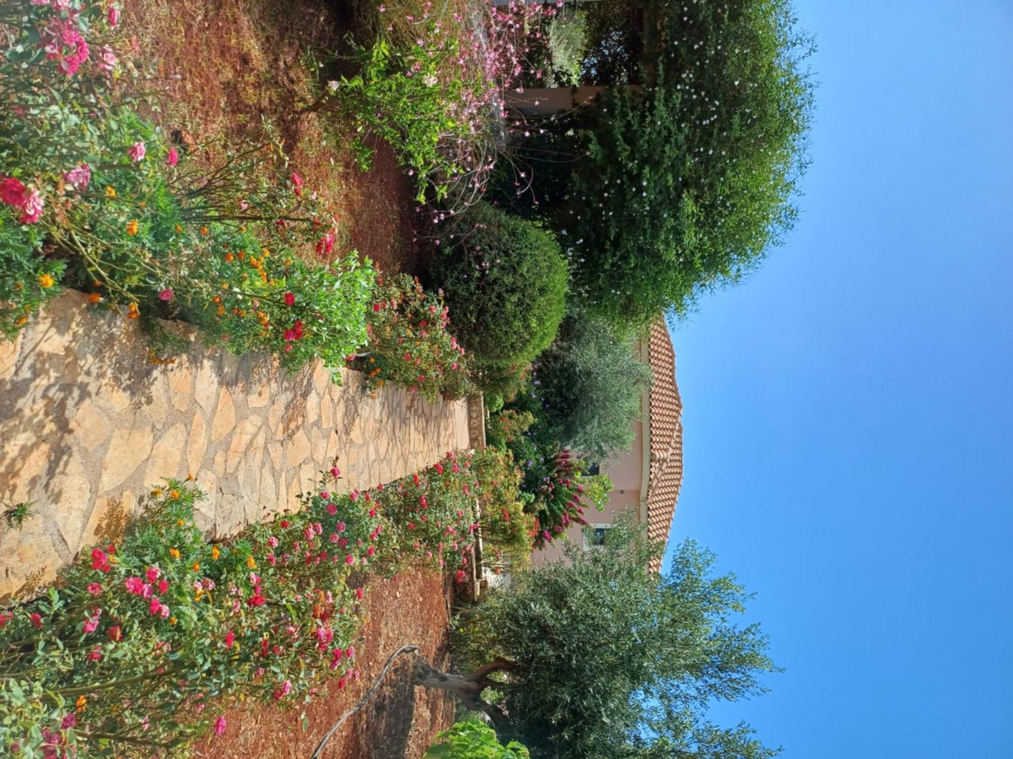 Karavádhos Korallis Villas מראה חיצוני תמונה