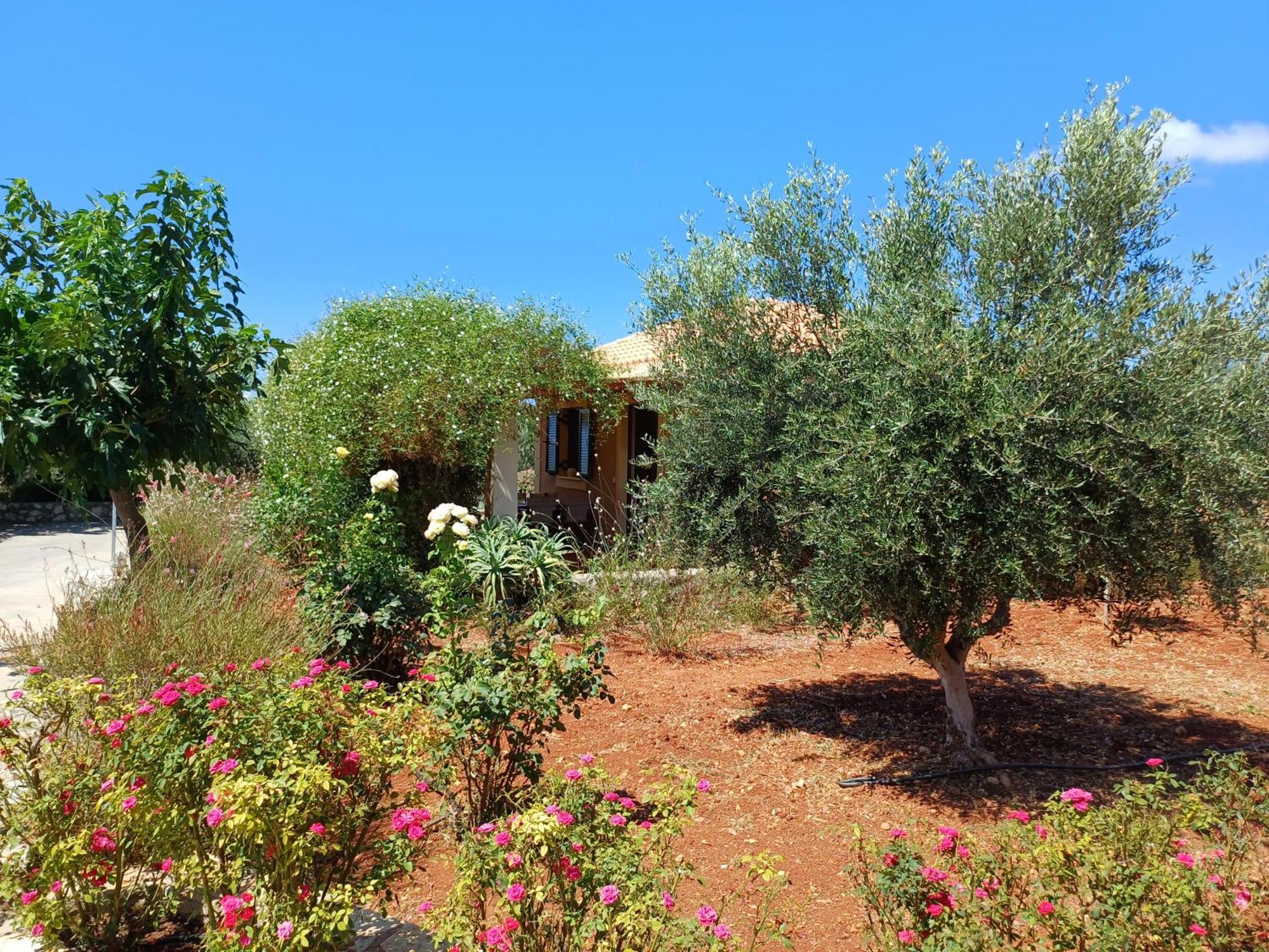 Karavádhos Korallis Villas מראה חיצוני תמונה