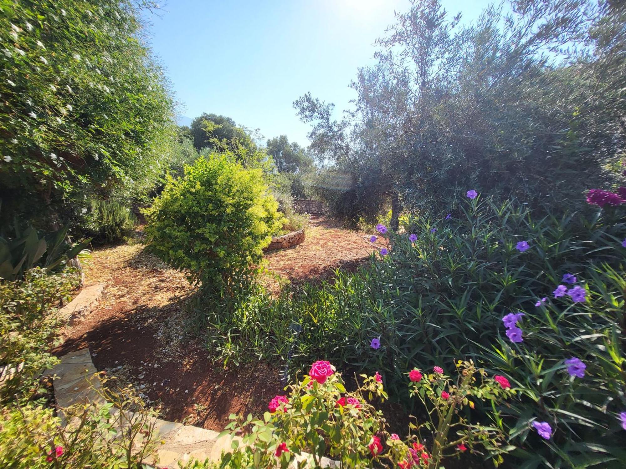 Karavádhos Korallis Villas מראה חיצוני תמונה