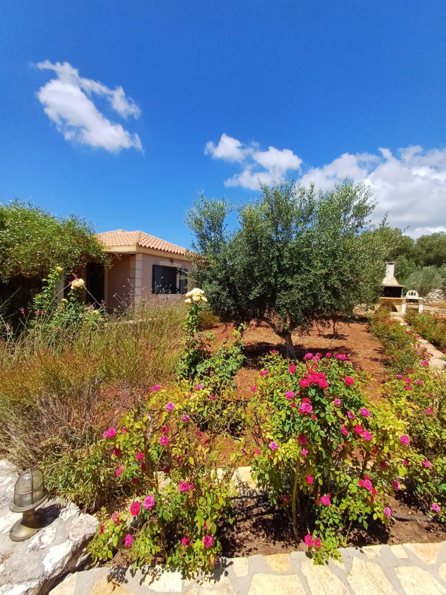 Karavádhos Korallis Villas מראה חיצוני תמונה