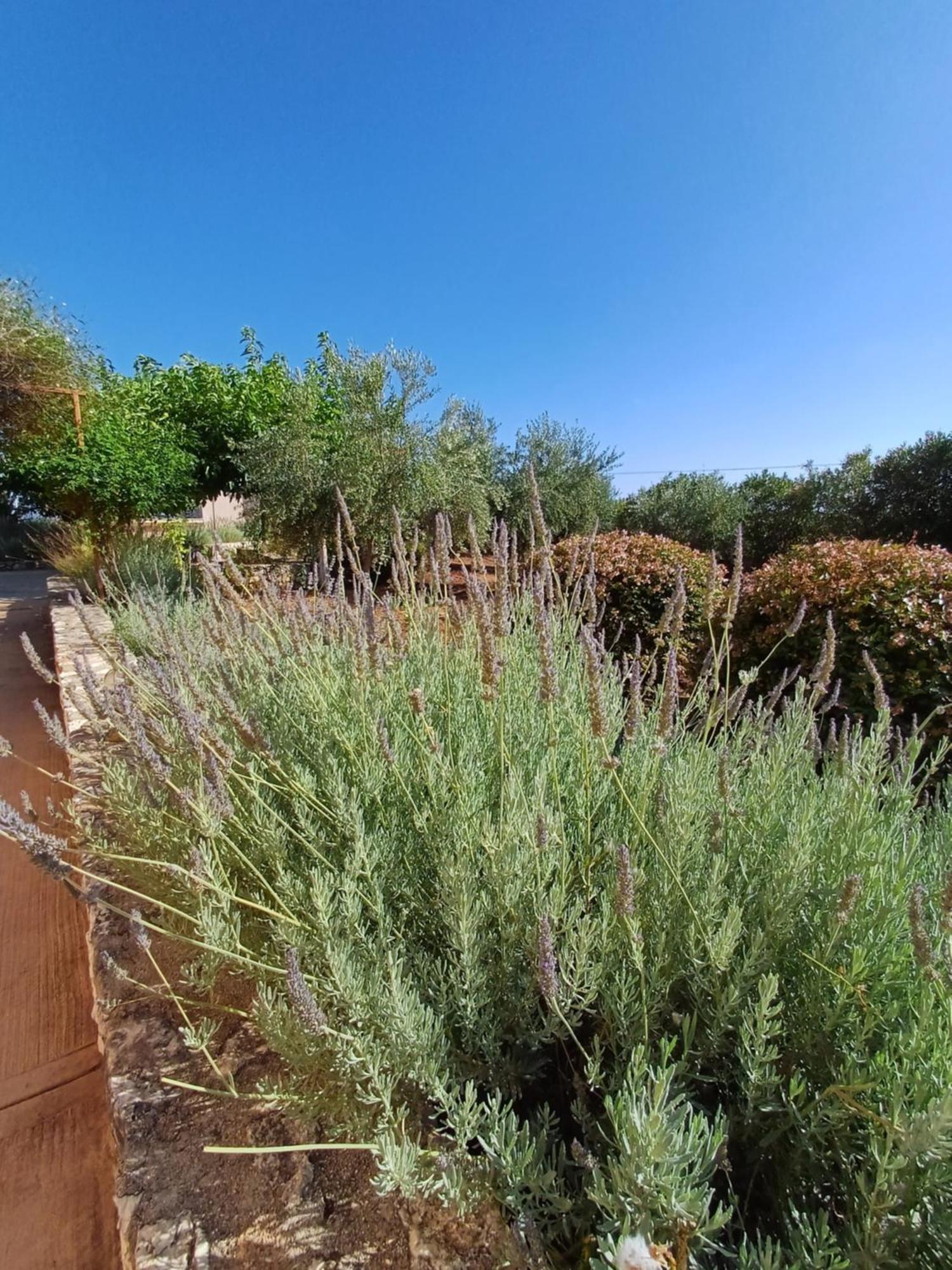 Karavádhos Korallis Villas מראה חיצוני תמונה
