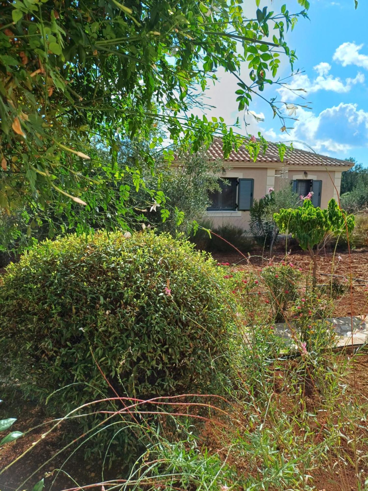 Karavádhos Korallis Villas חדר תמונה